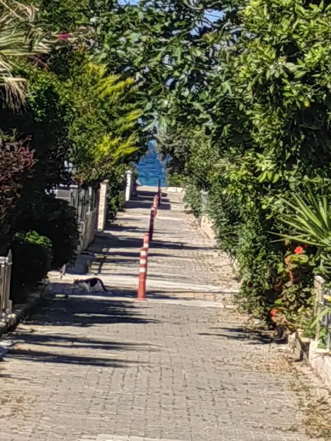 Kushadasi Villa Long Beach Kusadasi 0*,  Turkey